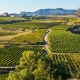 Hiszpania: Rioja